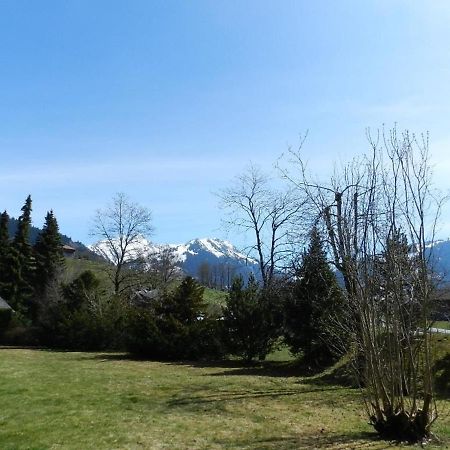 Charly Studio In Gstaad Exterior foto